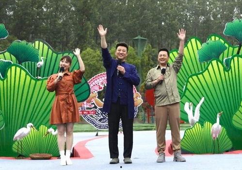 西安唐人街爆料视频最新,繁华再现，历史与现代交融盛景  第2张