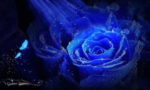 蓝色妖姬在线观看,网络奇缘，揭秘虚拟世界的爱情传奇  第2张