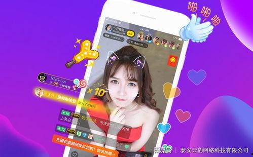 烟台海蜇爆料直播视频,海洋美味背后的故事